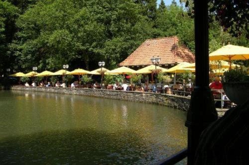 Waldhotel Silbermuehle Horn-Bad Meinberg Exteriér fotografie